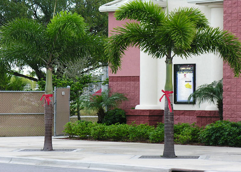 GARDEN CENTER NORTH FORT MYERS