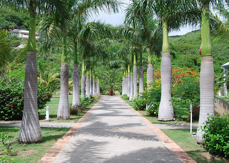GARDEN CENTER NORTH FORT MYERS
