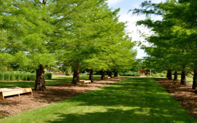 GARDEN CENTER NORTH FORT MYERS