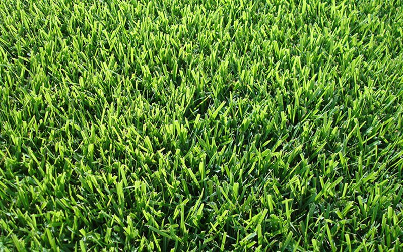 empire-sod-for-sale